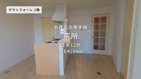 動画