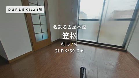 動画