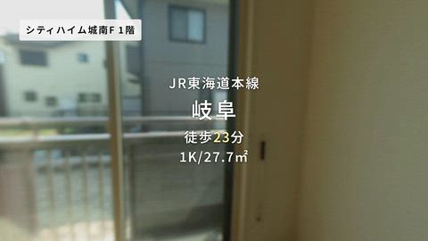 動画