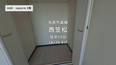 動画