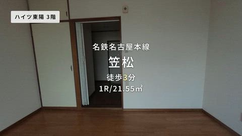 動画