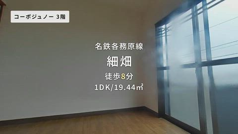 動画
