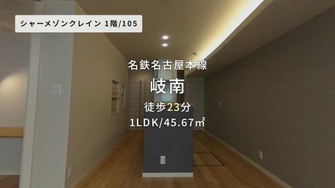 動画