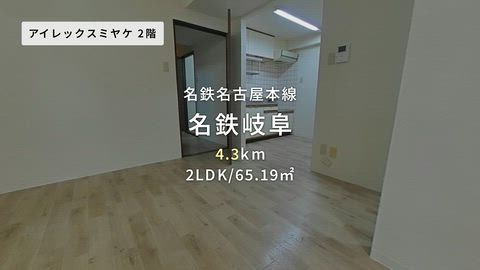 動画