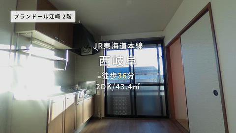 動画