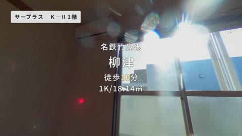 動画