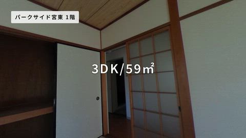動画