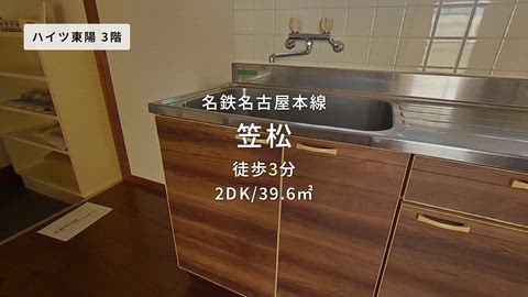 動画