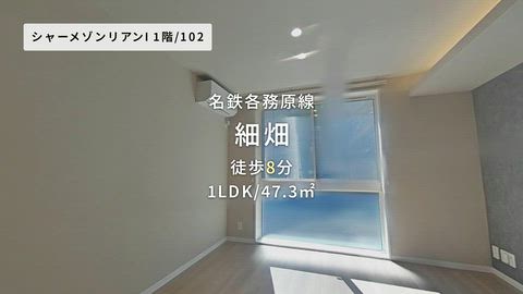 紹介ムービー