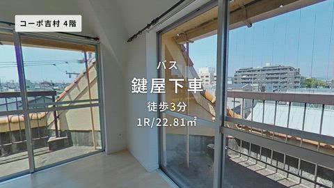 動画