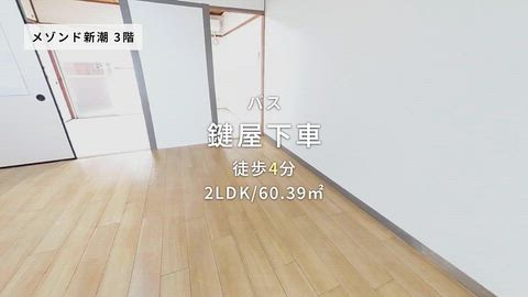 動画