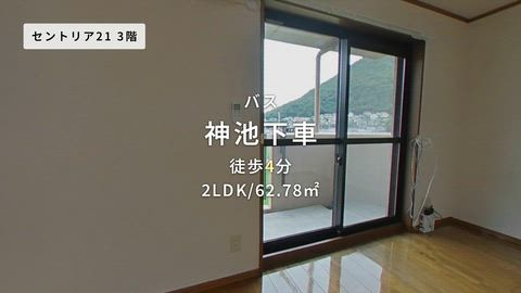 紹介ムービー
