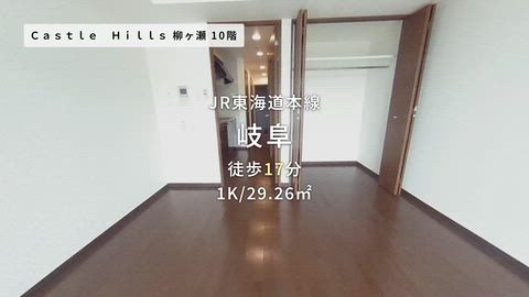 動画