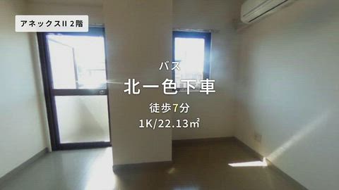 動画