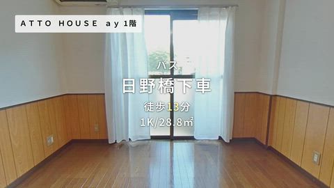 動画
