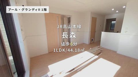 動画