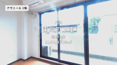 動画