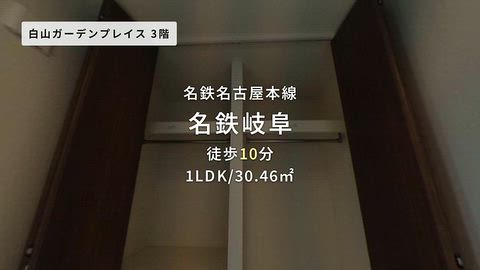 動画