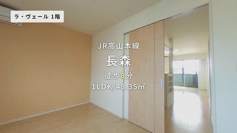 動画