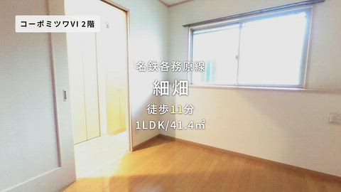 動画