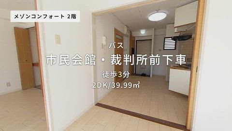 動画