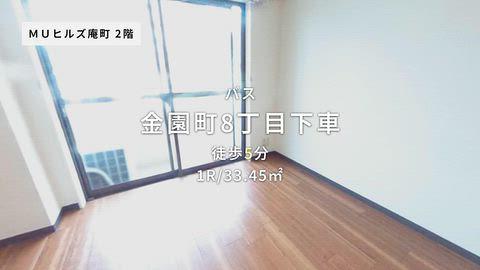 動画