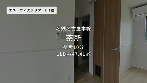 動画
