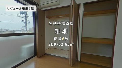 動画
