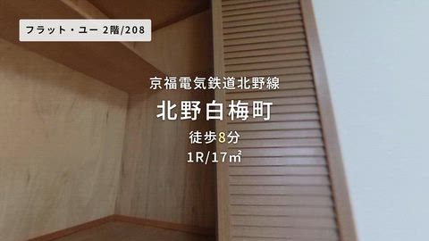動画