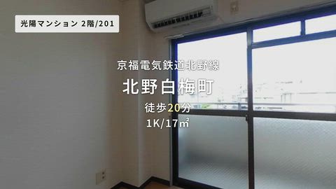動画