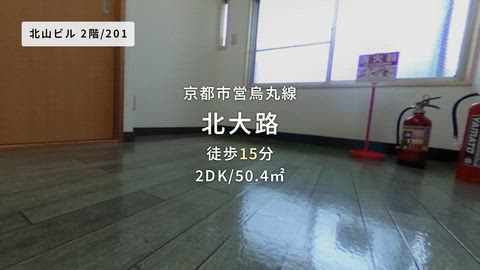 動画
