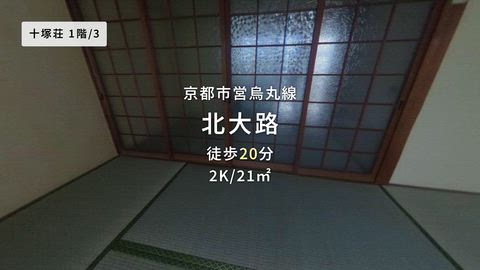 動画