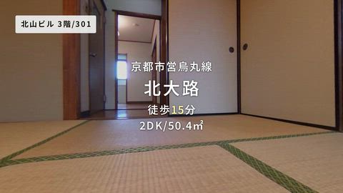 動画
