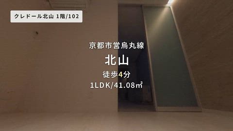 動画