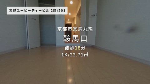動画