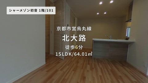 動画
