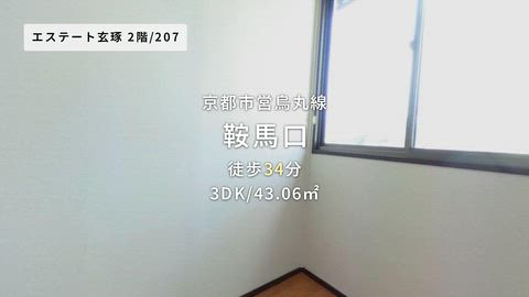 動画