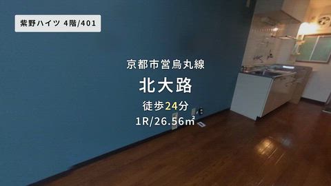 動画