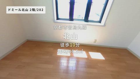 動画
