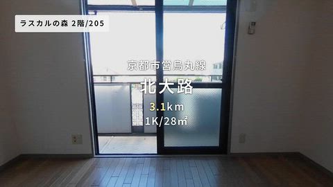 動画