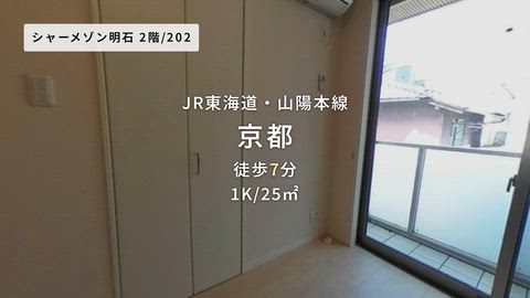 動画