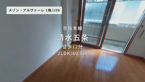 動画