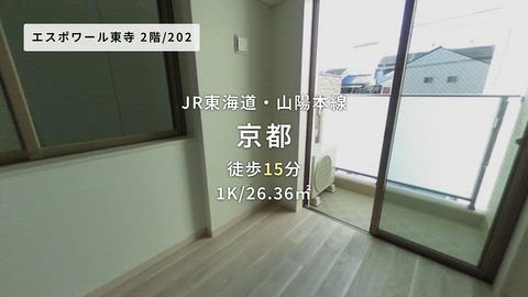 動画