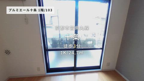 動画