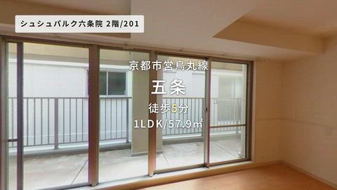 動画