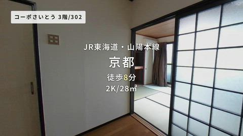 動画