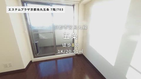 動画