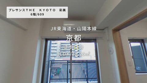 動画