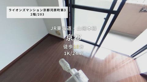 動画