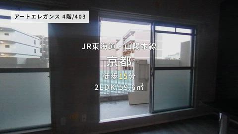 動画